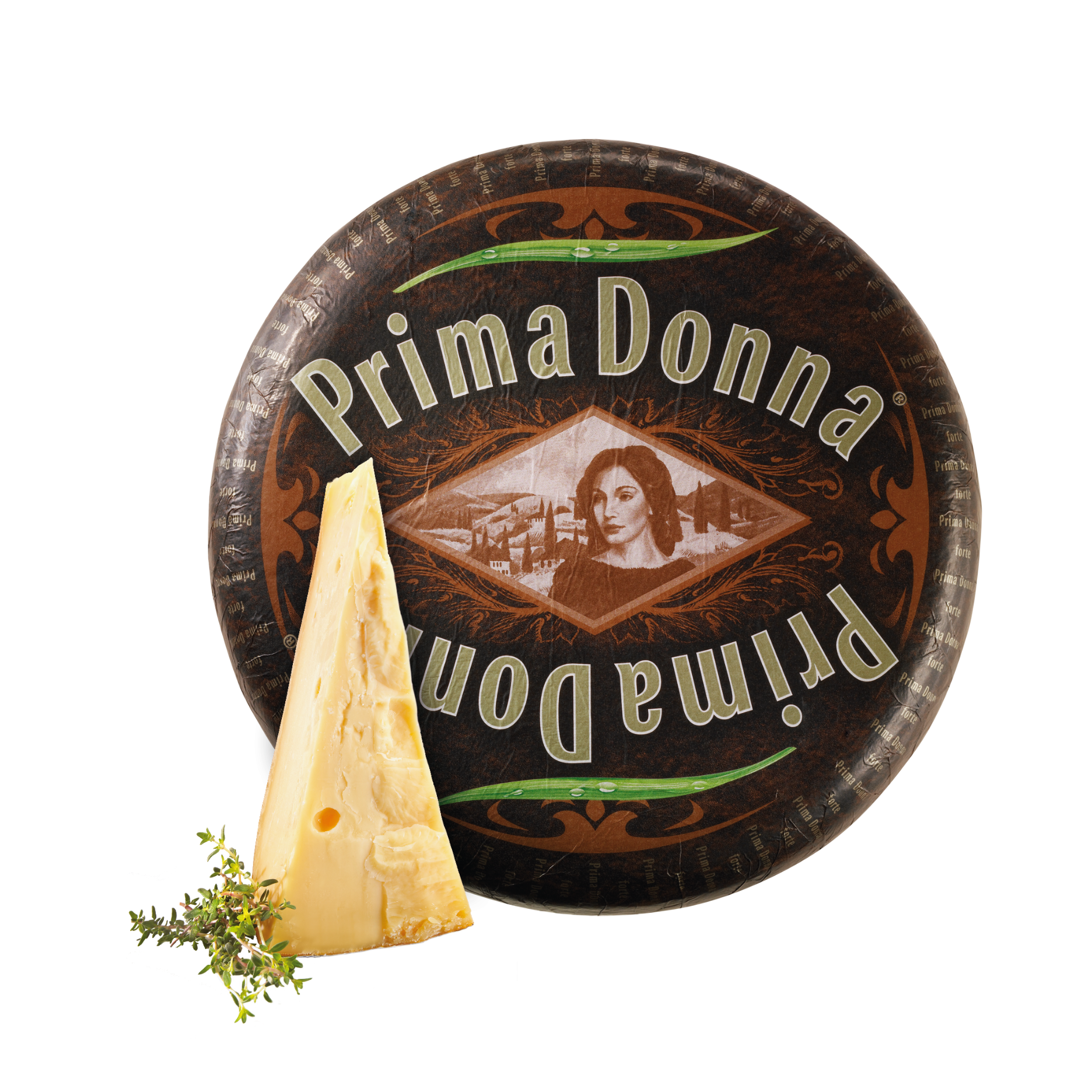 Ser Holenderski Prima Donna Forte 1 Ser Holenderski Prima Donna Forte