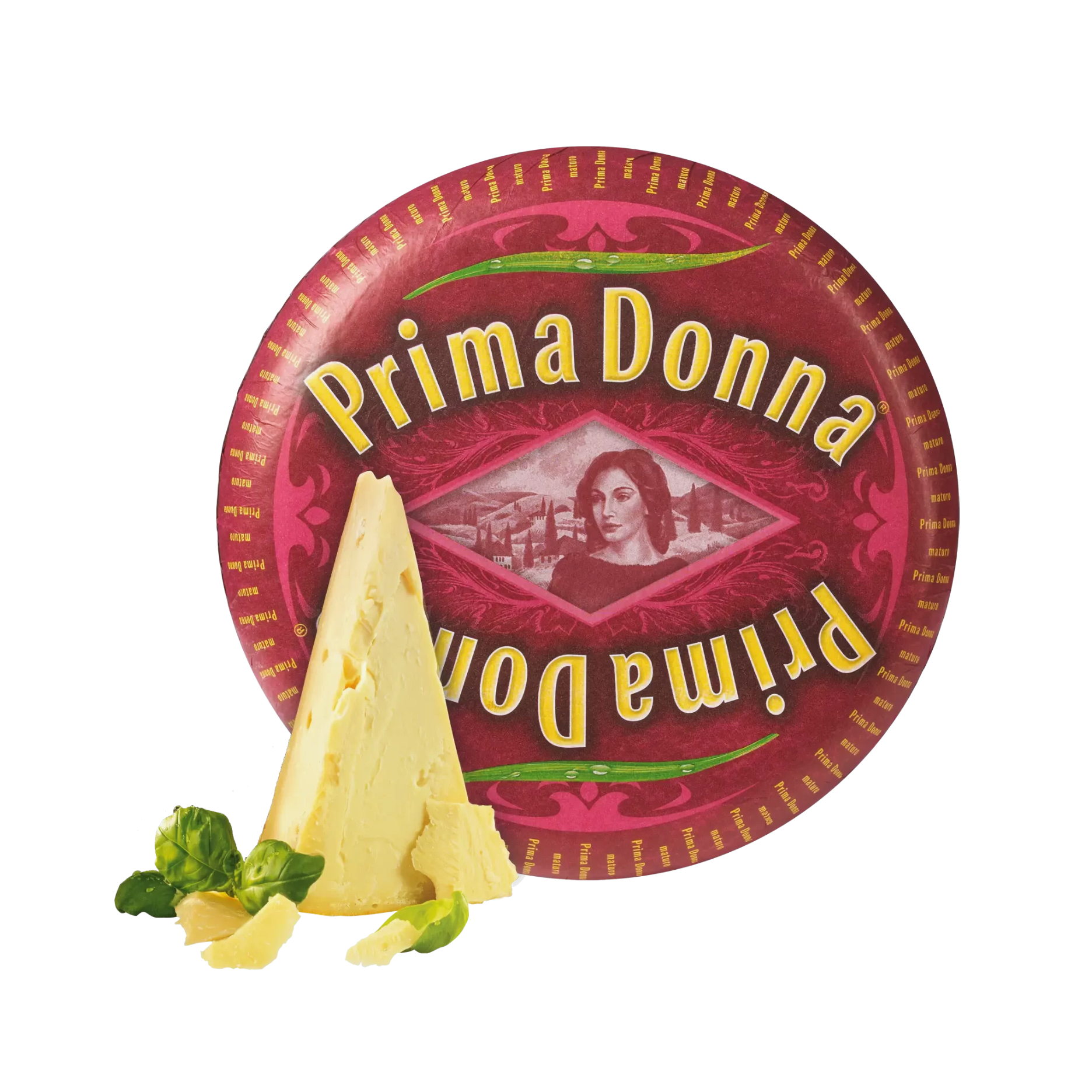 Ser Holenderski Prima Donna Maturo 1 Ser Holenderski Prima Donna Maturo